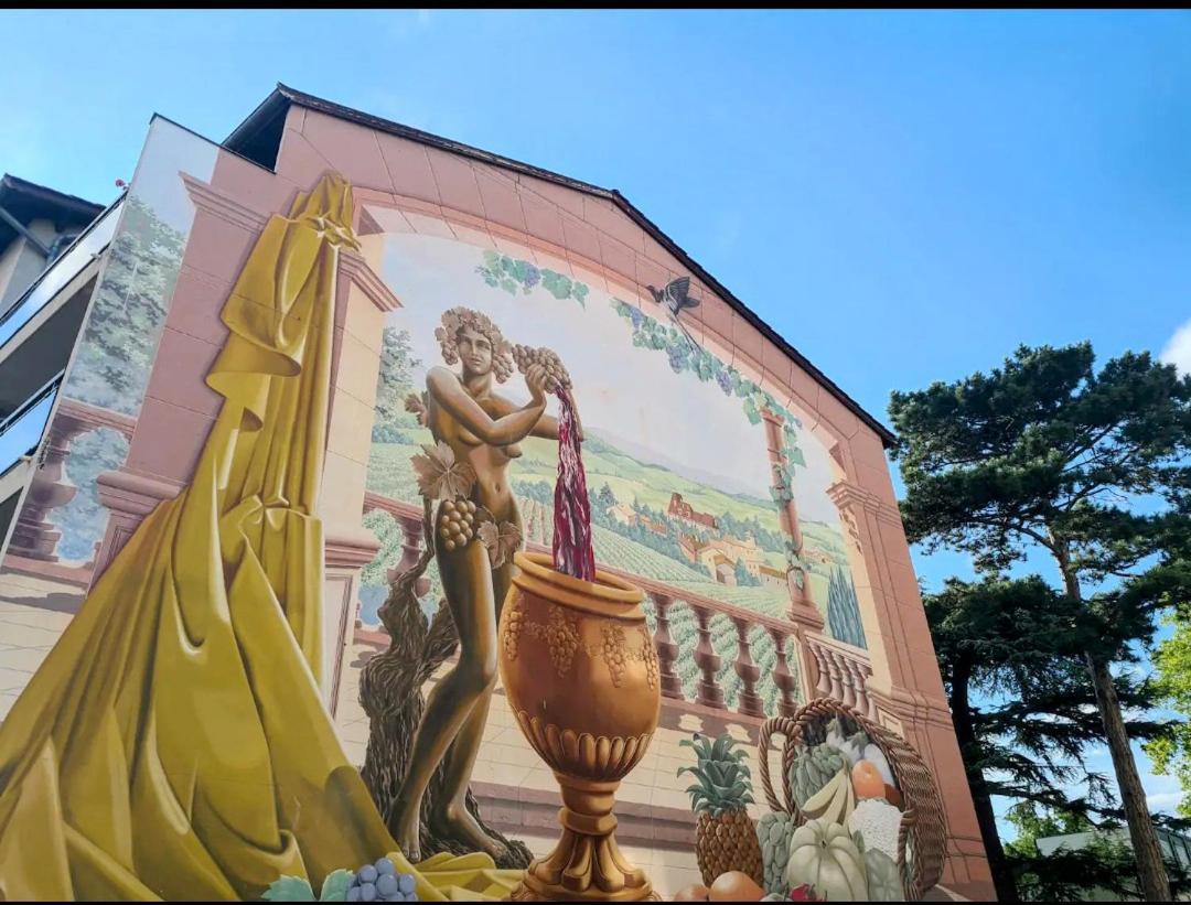 Ravissant Appartement T2 Proche Autoroute Et Centre-Ville Villefranche-sur-Saône Kültér fotó
