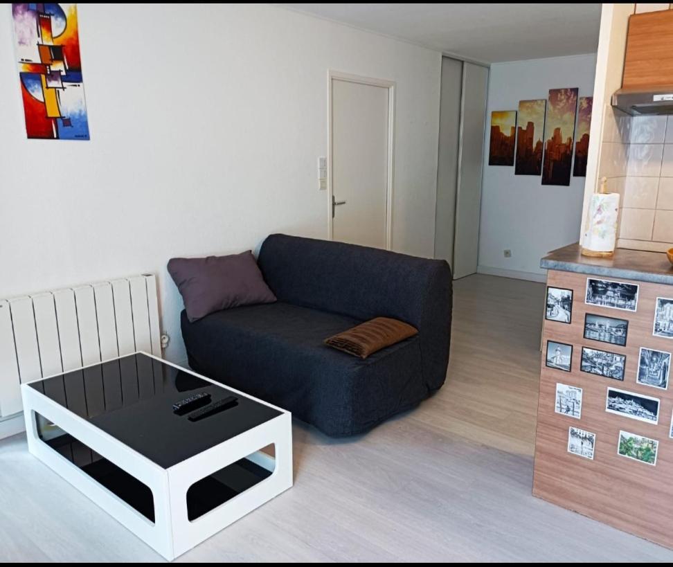 Ravissant Appartement T2 Proche Autoroute Et Centre-Ville Villefranche-sur-Saône Kültér fotó